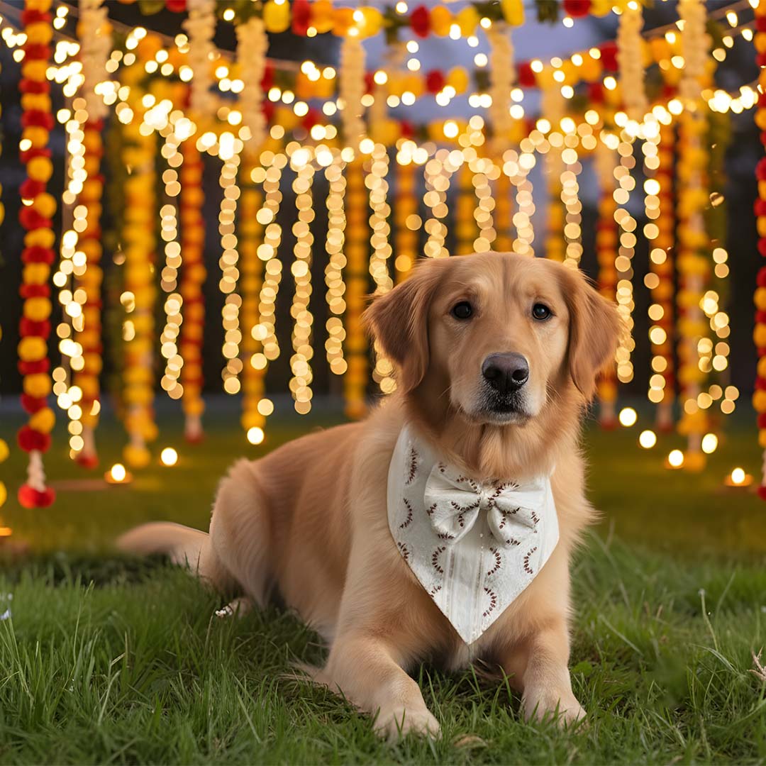 Scarlet Spark Festive Bandana