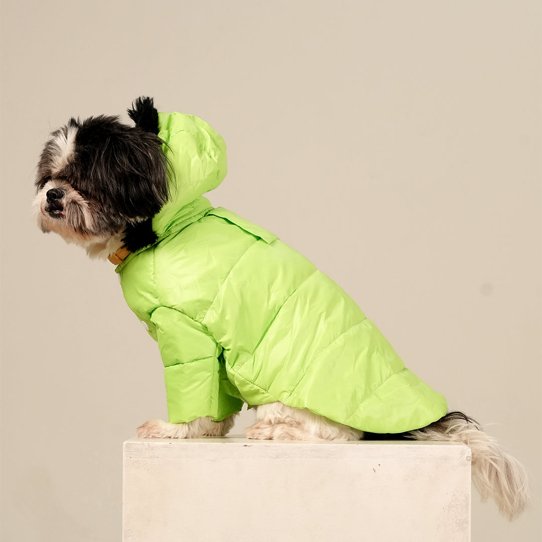 Neon Nibble Pet Hoodie – Stylish & Warm Pet Hoodie by FurryFits