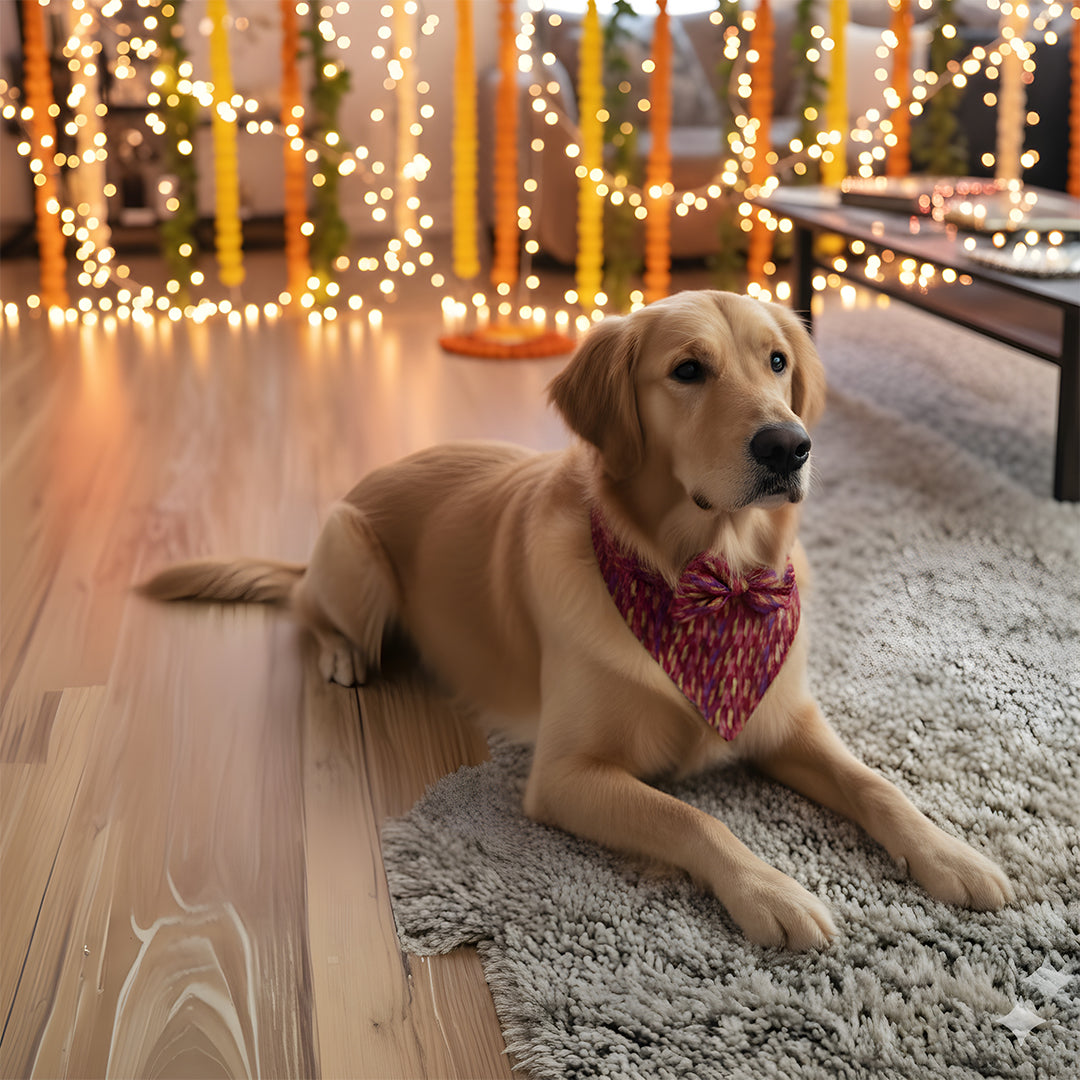 Multicolor Regal Bandana
