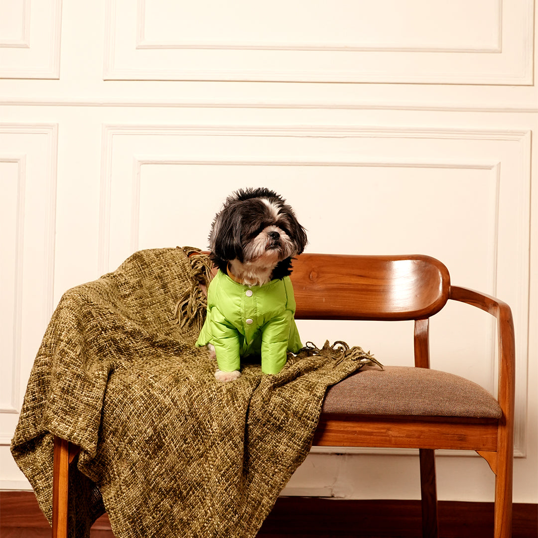 Neon Nibble Pet Hoodie – Stylish & Warm Pet Hoodie by FurryFits