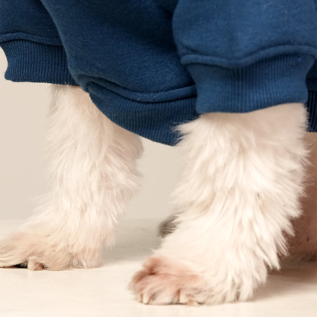 MidSky Lounge Hoodie – Cool Blue Winter Pet Hoodie