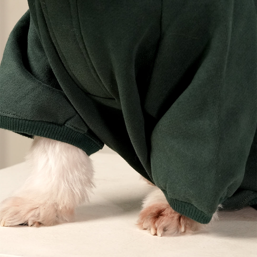 Olive Snug Hoodie – Cozy Olive Green Winter Pet Hoodie