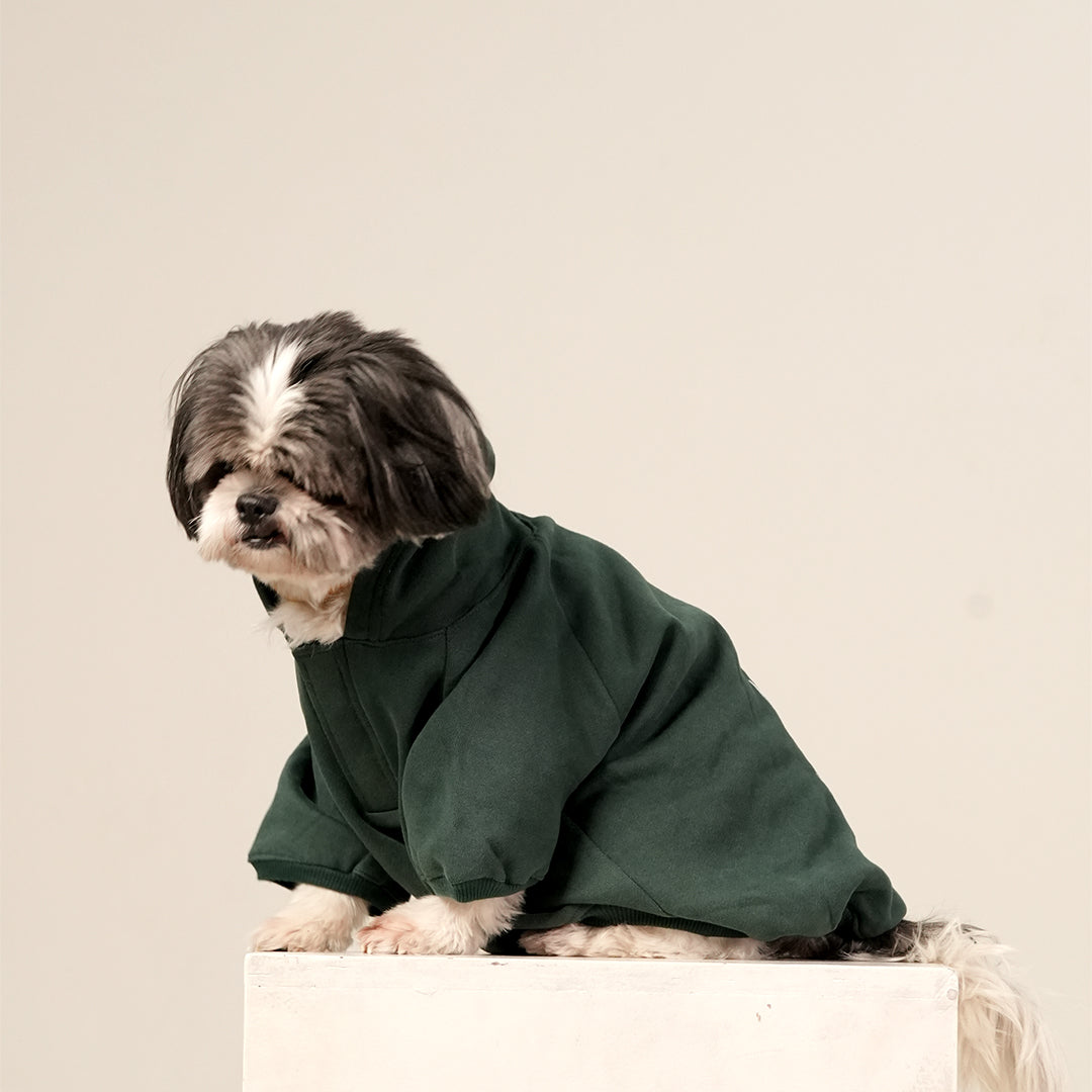Olive Snug Hoodie – Cozy Olive Green Winter Pet Hoodie