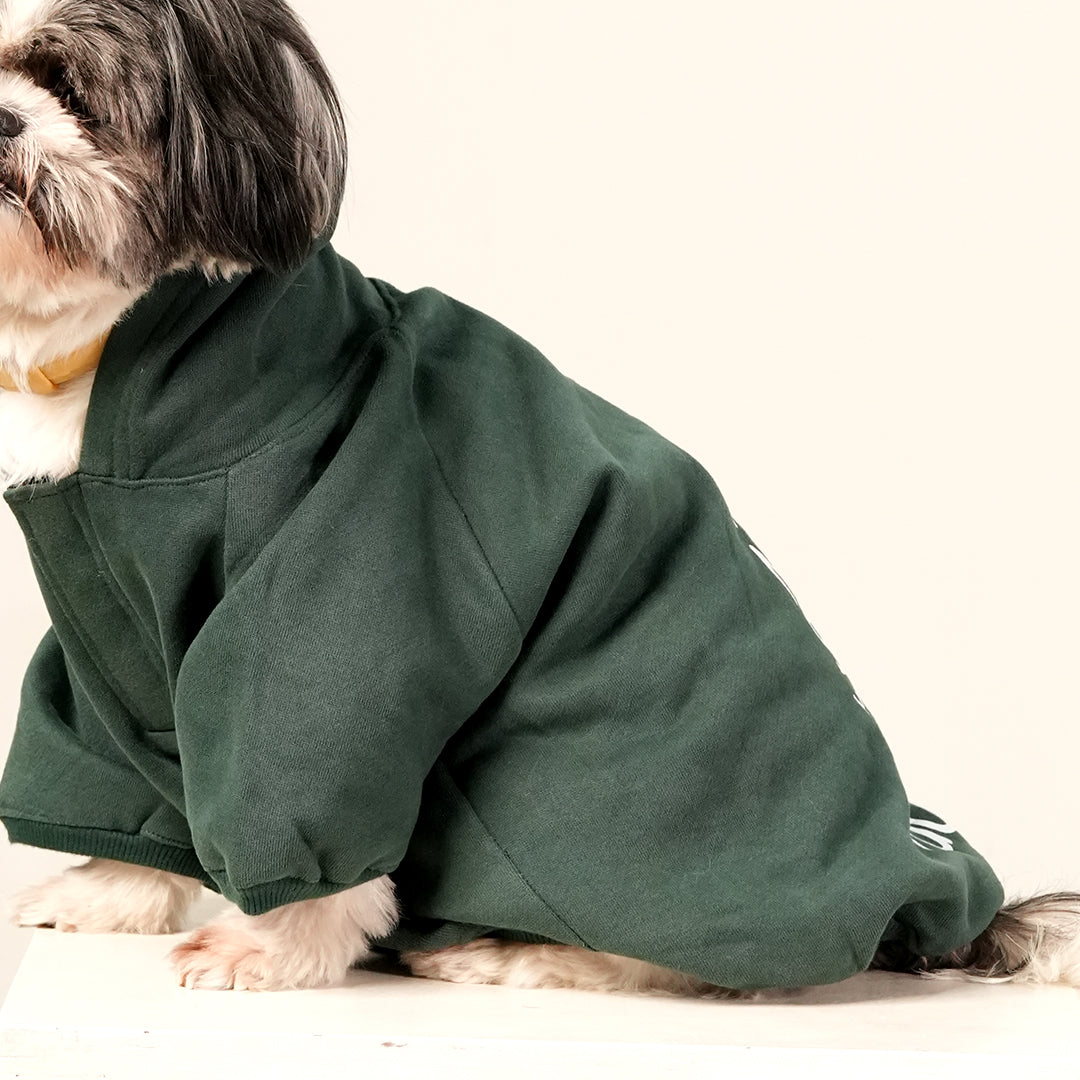 Olive Snug Hoodie – Cozy Olive Green Winter Pet Hoodie