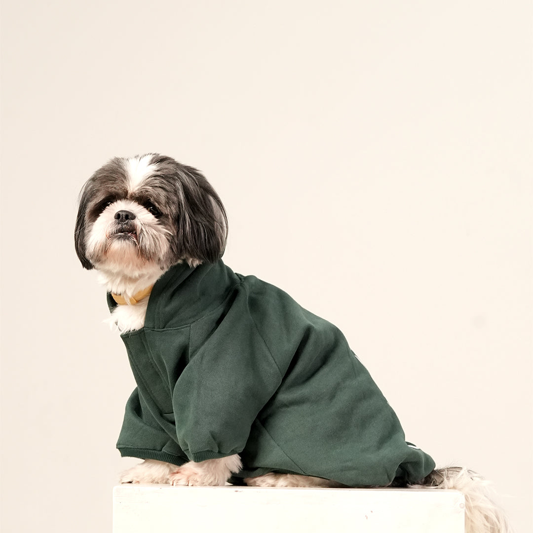 Olive Snug Hoodie – Cozy Olive Green Winter Pet Hoodie