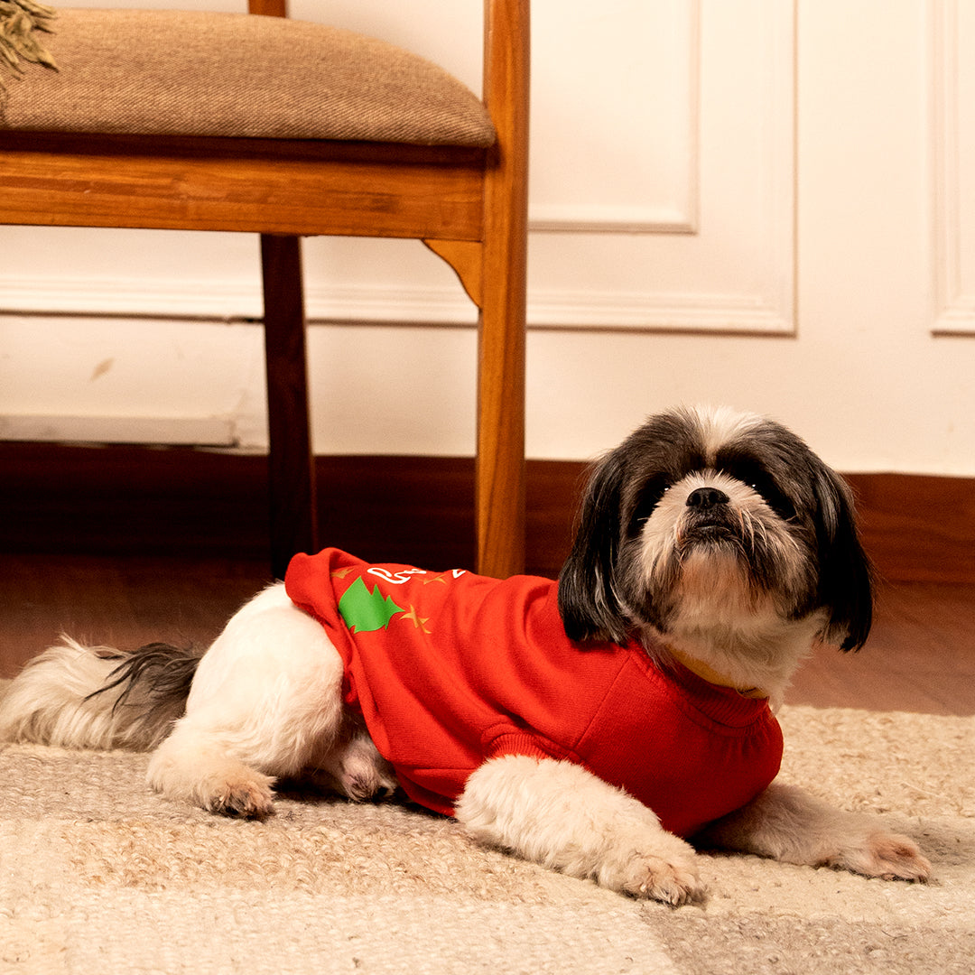 Jingle Joy Tee – Christmas Red Winter Pet Tee