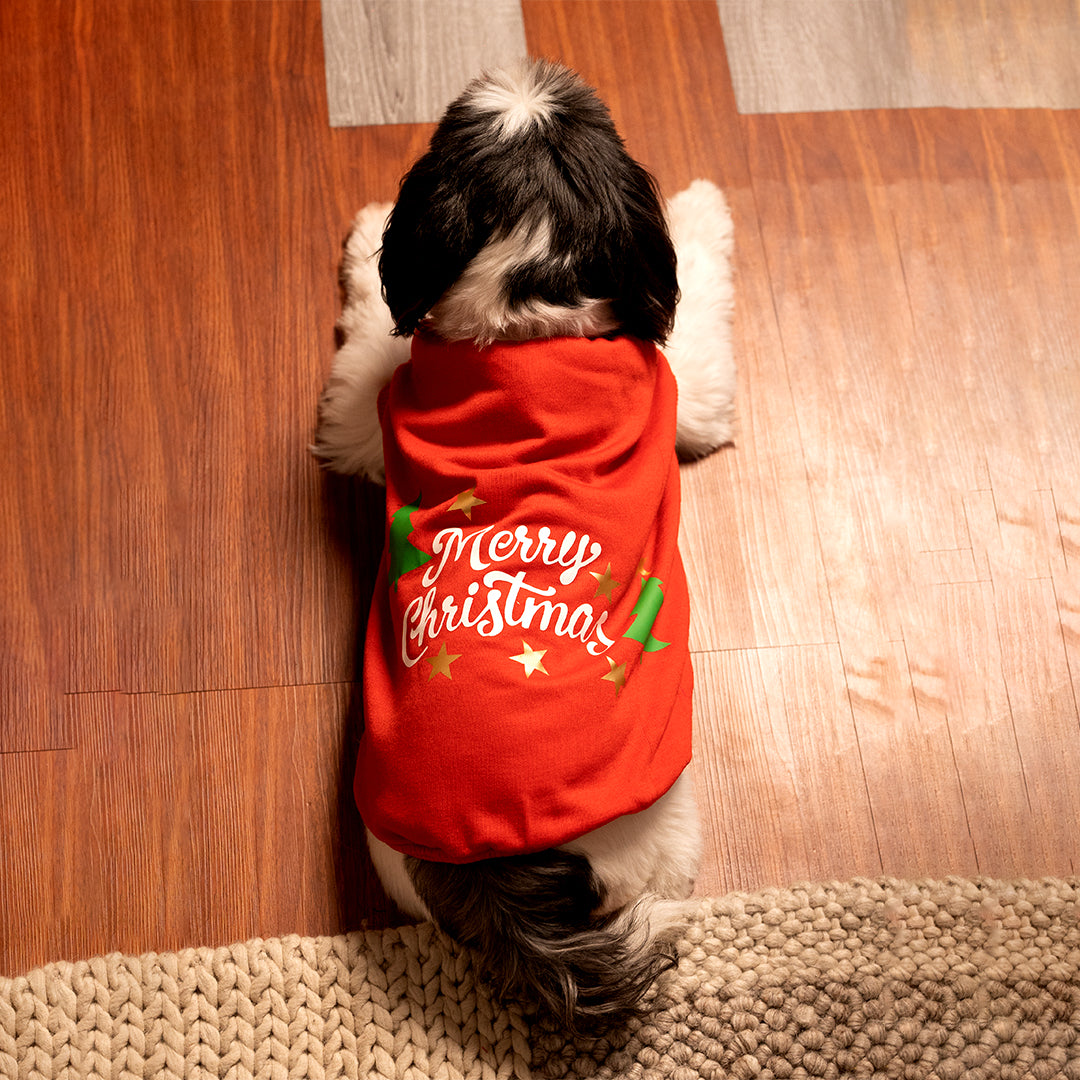 Jingle Joy Tee – Christmas Red Winter Pet Tee