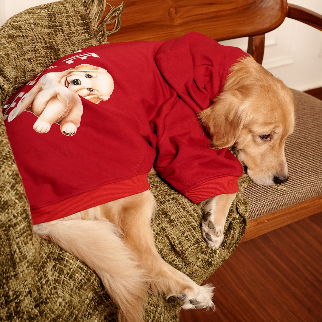 Rudolph Red Hoodie – Festive Red Winter Pet Hoodie