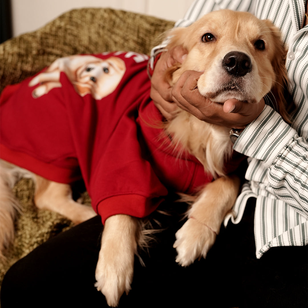 Rudolph Red Hoodie – Festive Red Winter Pet Hoodie