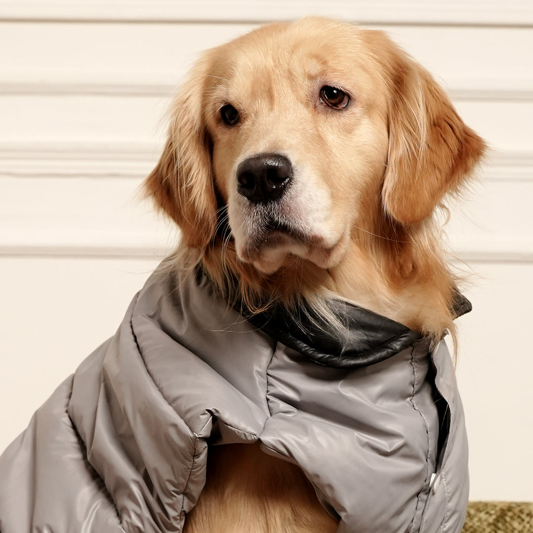GreyWhisper Puffer – Elegant Grey Winter Pet Jacket