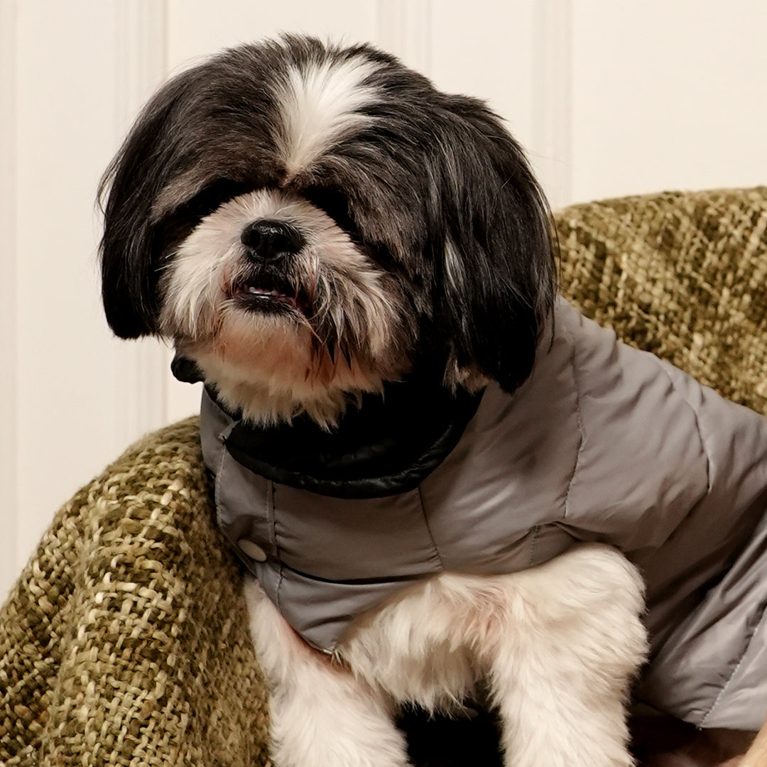 GreyWhisper Puffer – Elegant Grey Winter Pet Jacket