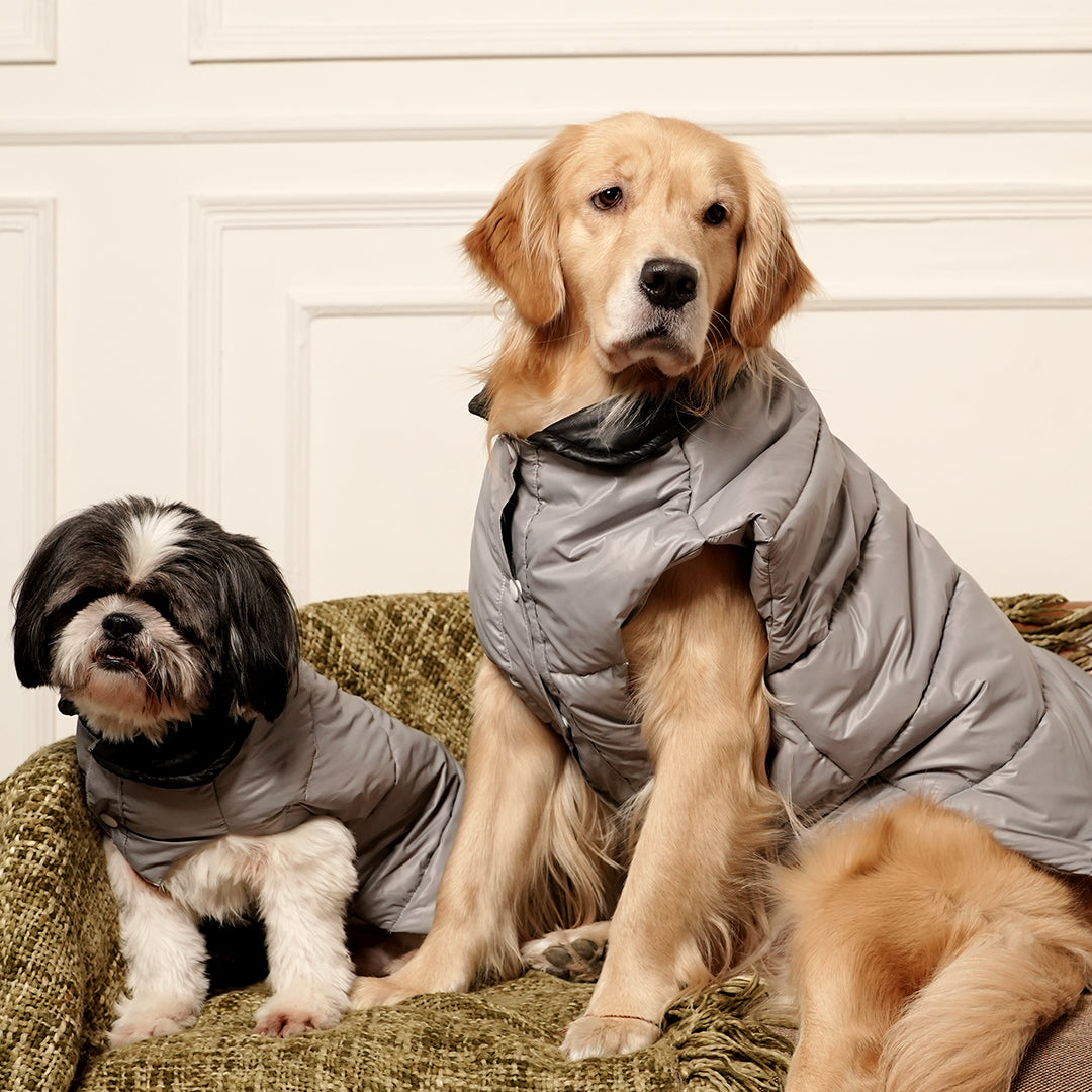 GreyWhisper Puffer – Elegant Grey Winter Pet Jacket