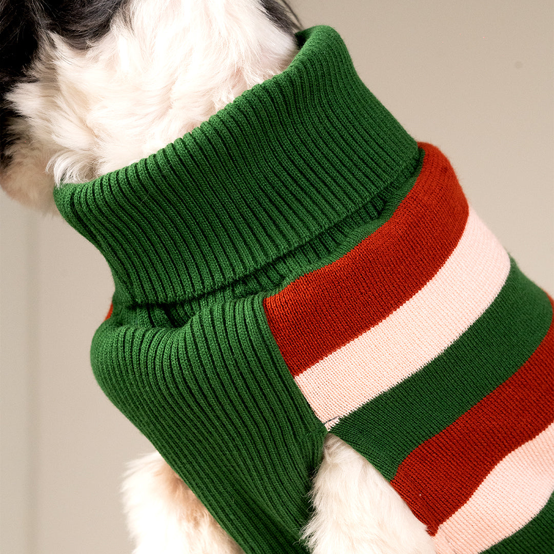 EarthBound Stripes Sweater – Classic Striped Winter Pet Sweater
