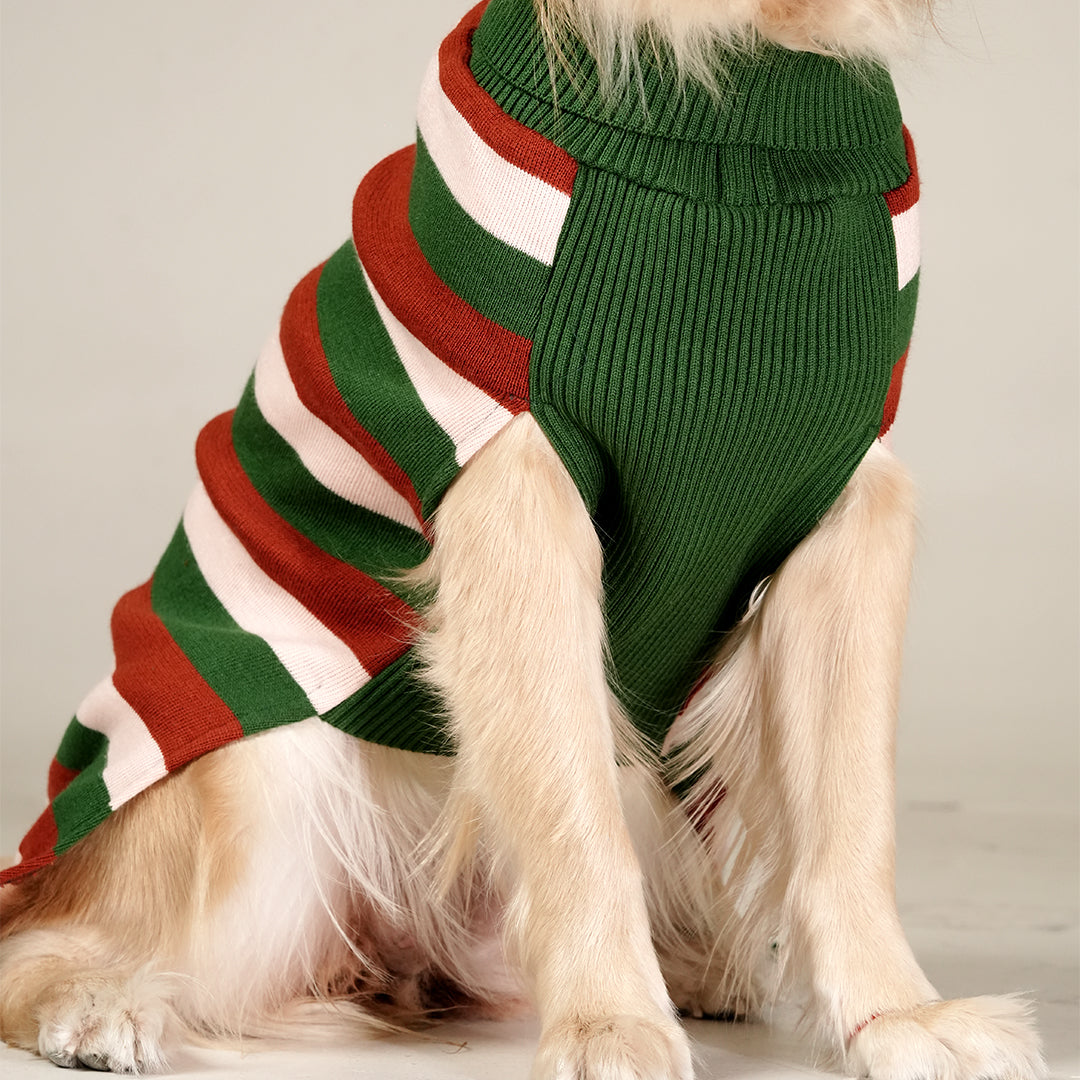 EarthBound Stripes Sweater – Classic Striped Winter Pet Sweater