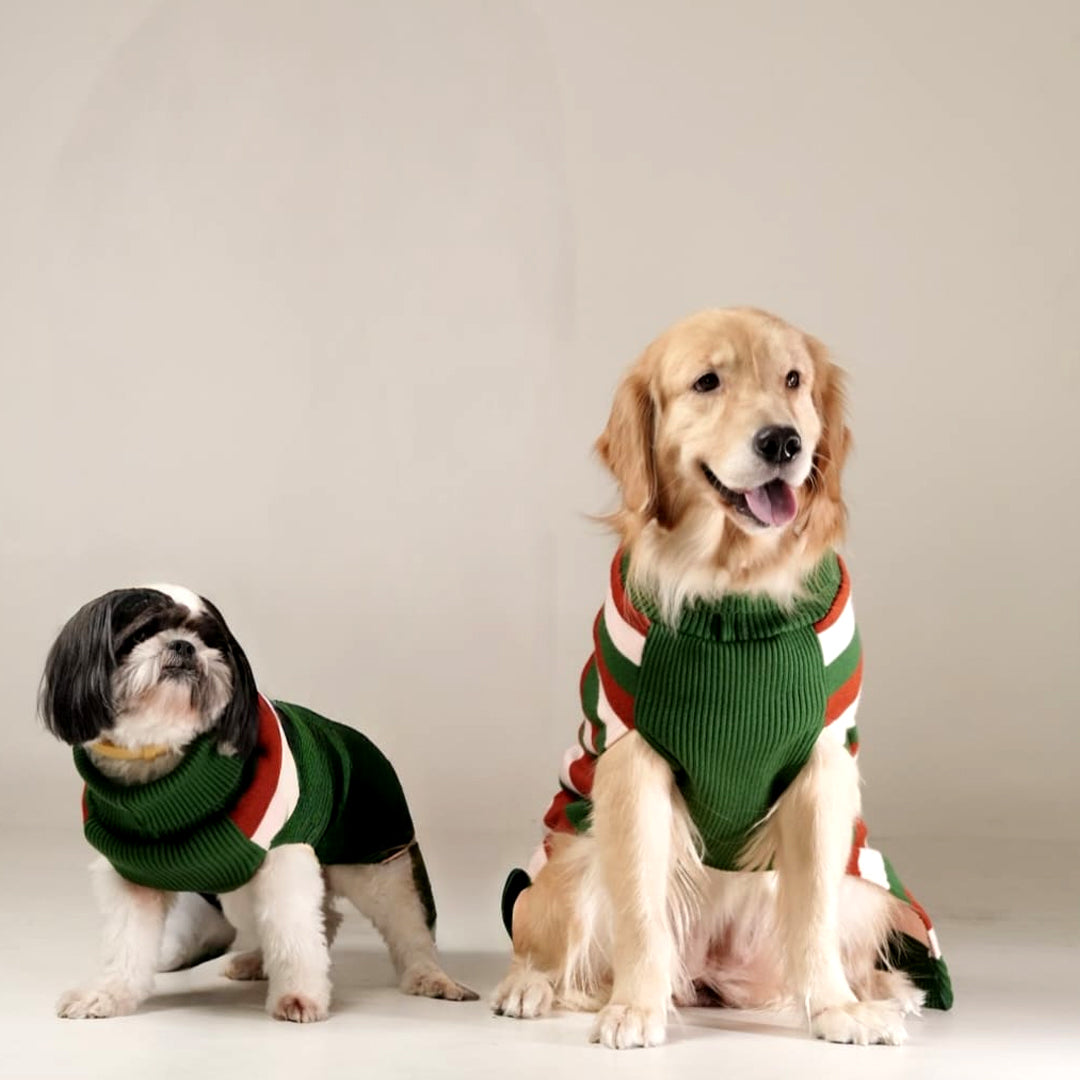 EarthBound Stripes Sweater – Classic Striped Winter Pet Sweater