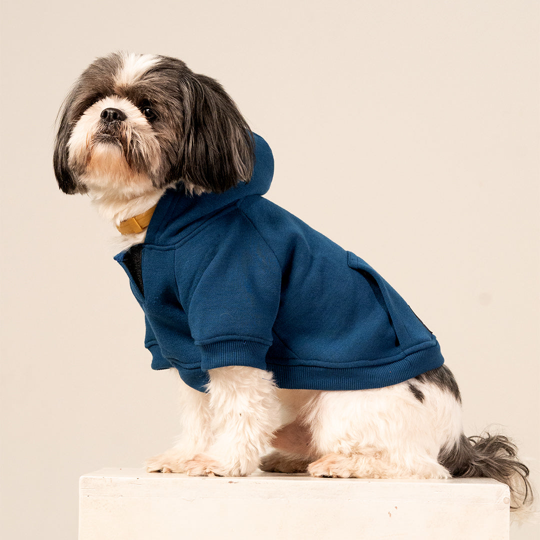 MidSky Lounge Hoodie – Cool Blue Winter Pet Hoodie
