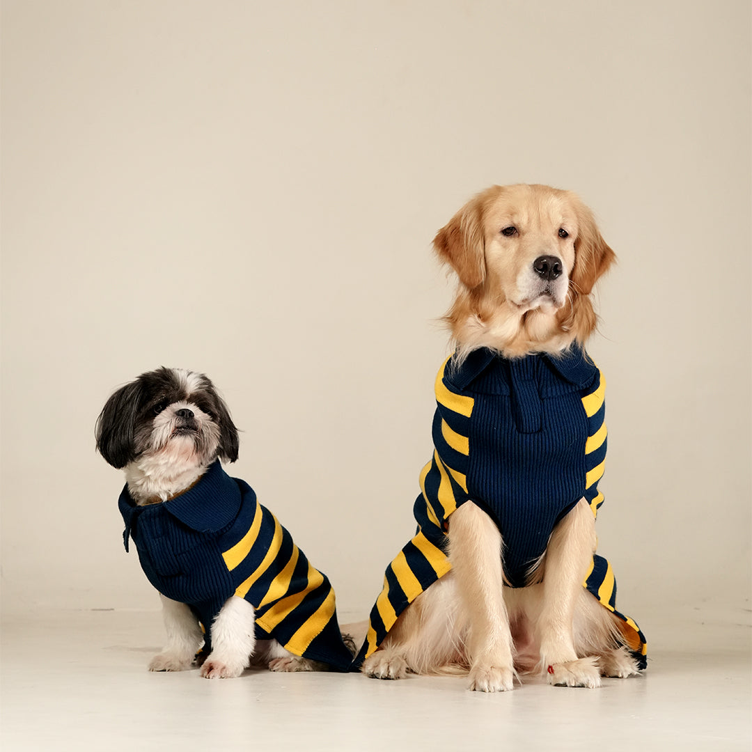 Honeybee Hug Sweater – Cozy Yellow Knit Pet Sweater