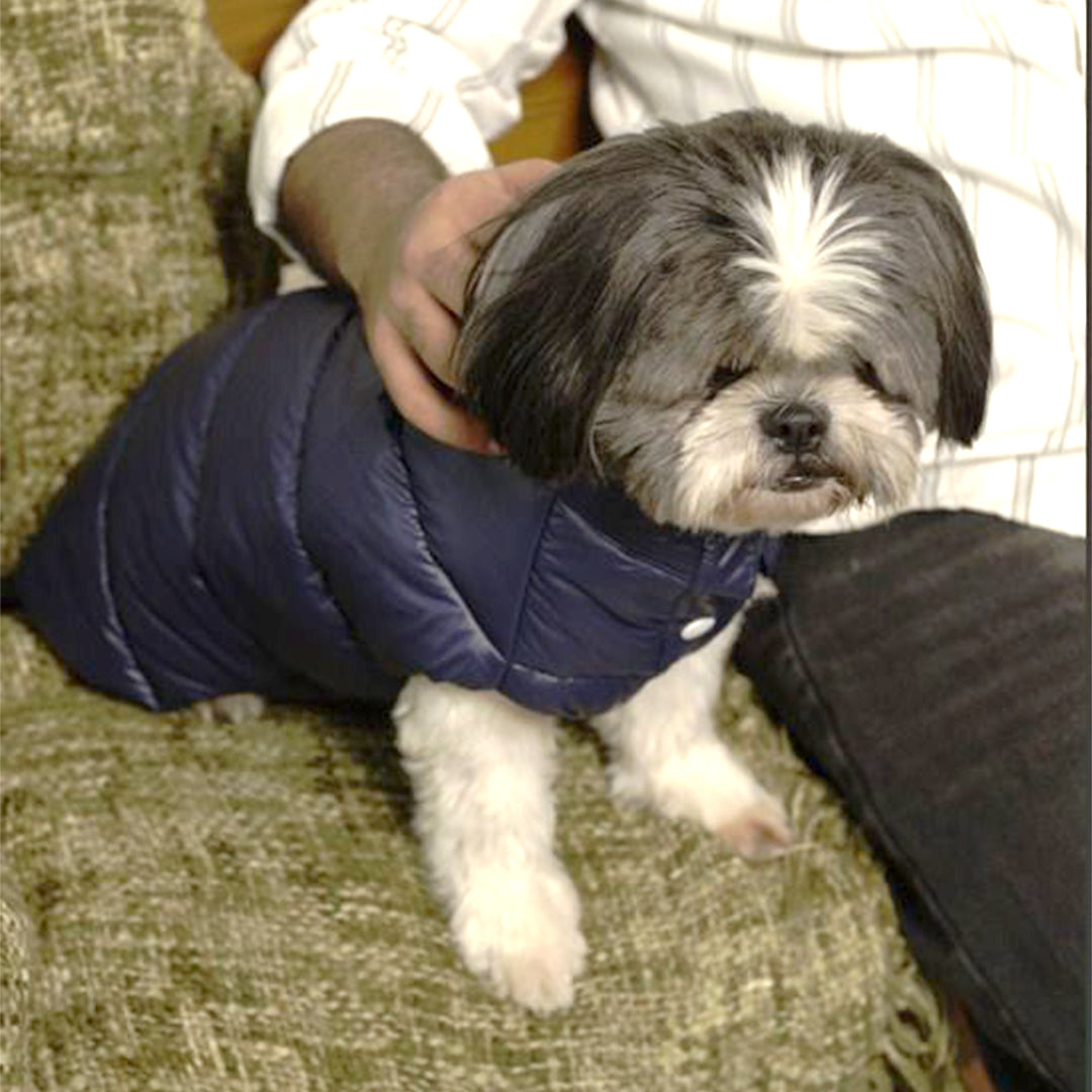 Midnight Puff Jacket – Sleek Blue Winter Pet Jacket