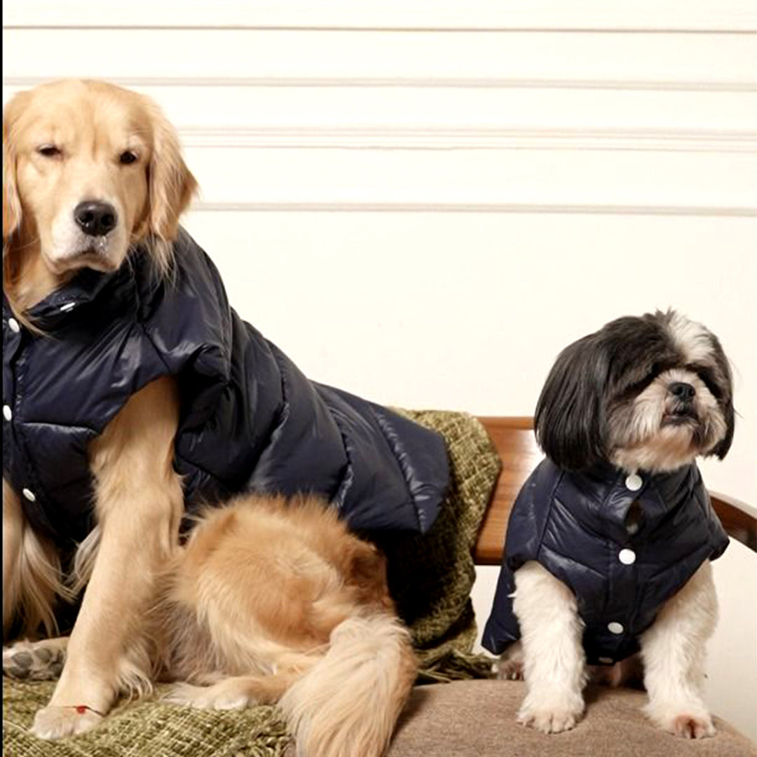 Midnight Puff Jacket – Sleek Blue Winter Pet Jacket
