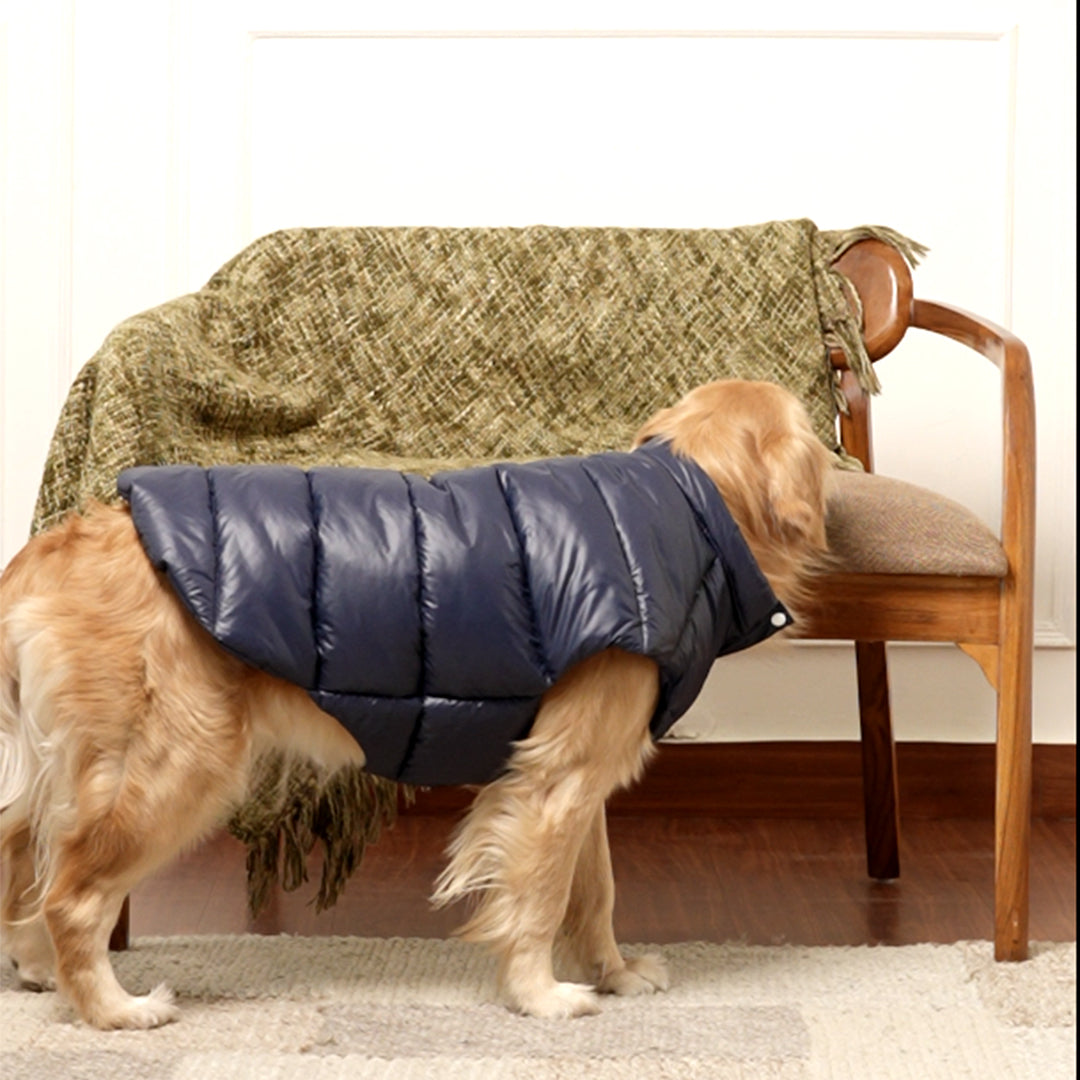 Midnight Puff Jacket – Sleek Blue Winter Pet Jacket