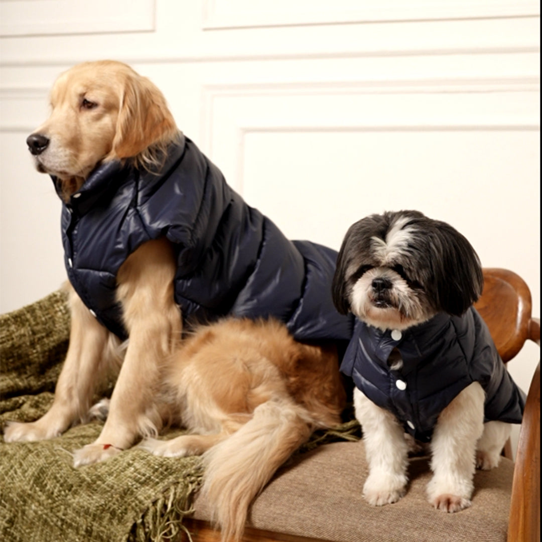 Midnight Puff Jacket – Sleek Blue Winter Pet Jacket