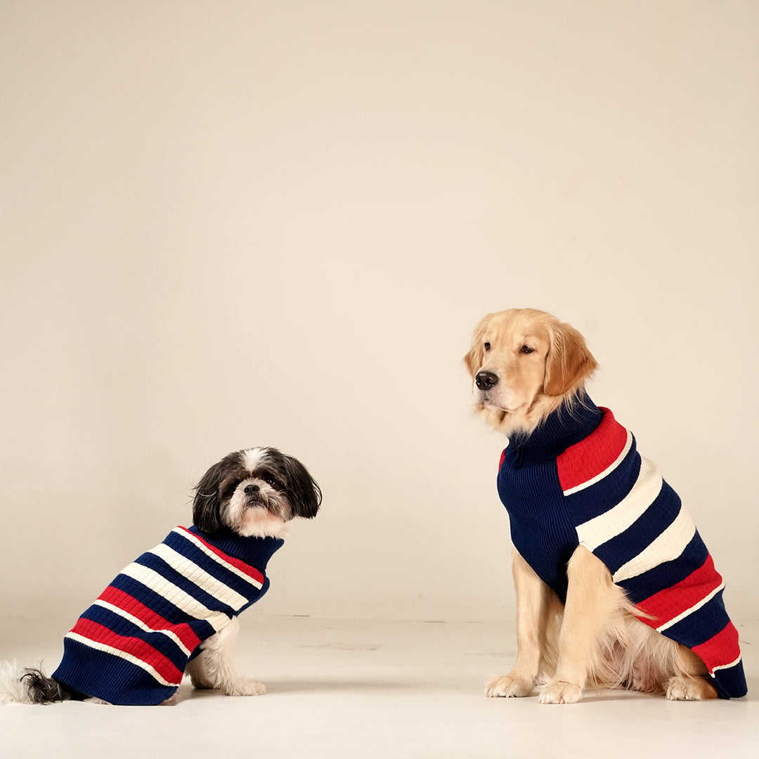 CruiseLine Knit Sweater – Classic Navy Winter Pet Sweater