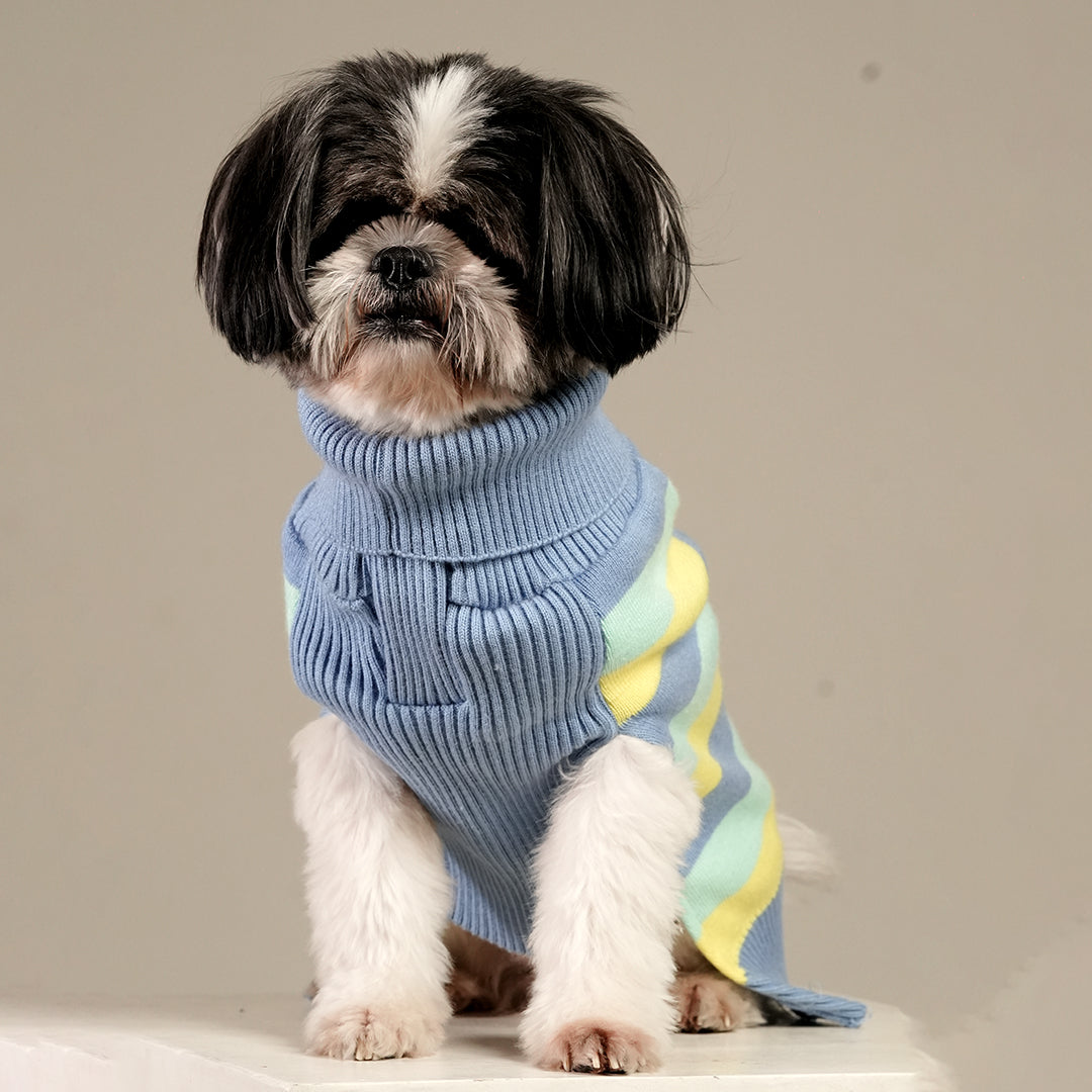 Morning Glow Knit Sweater – Warm Winter Pet Sweater
