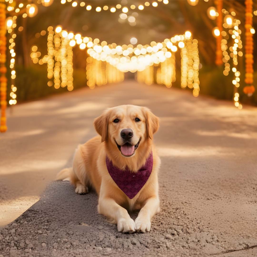 Crimson Charm Chikankari Bandana