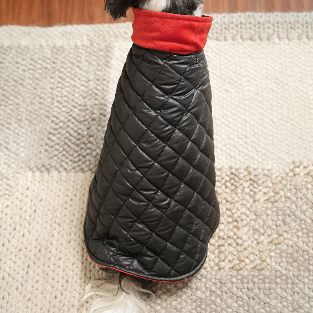 Black Luxe Quilted Pet Jacket with Red Collar – Bold Red Winter Pet Jacket