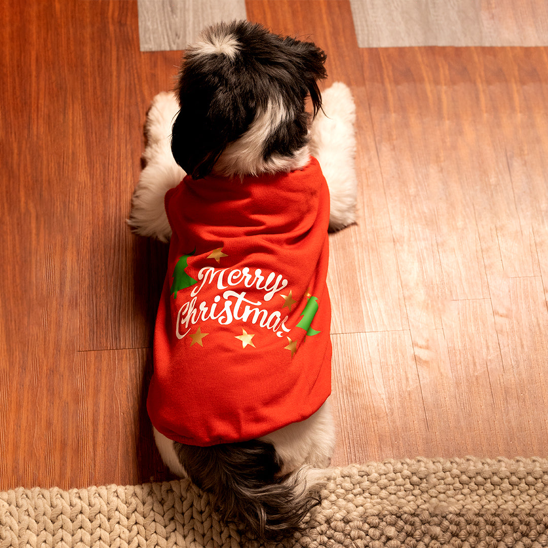 Jingle Joy Tee – Christmas Red Winter Pet Tee