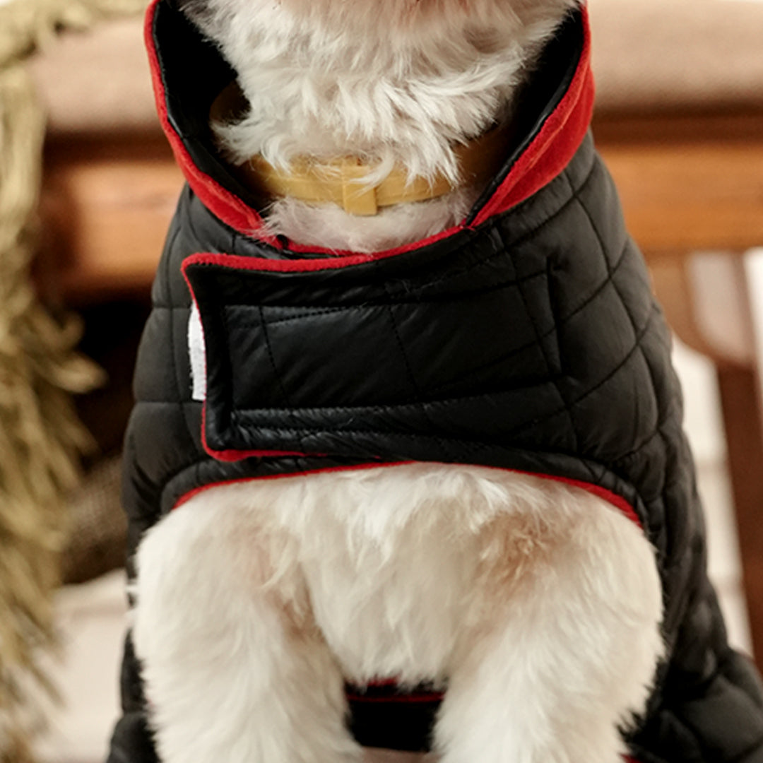 Black Luxe Quilted Pet Jacket with Red Collar – Bold Red Winter Pet Jacket