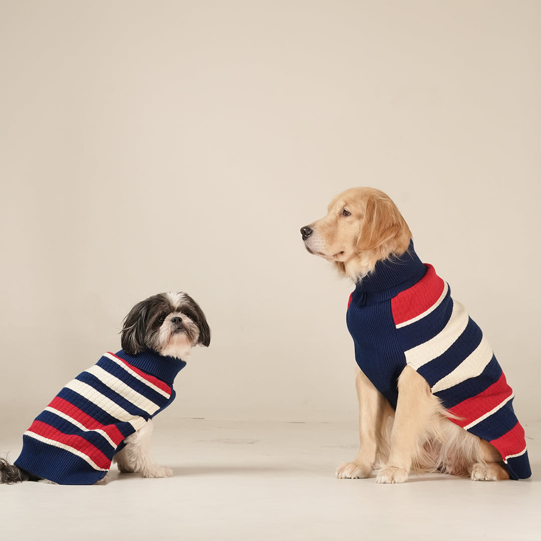 CruiseLine Knit Sweater – Classic Navy Winter Pet Sweater
