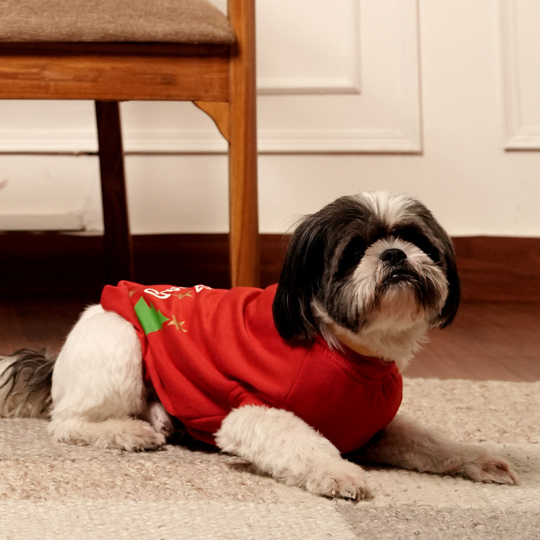 Jingle Joy Tee – Christmas Red Winter Pet Tee