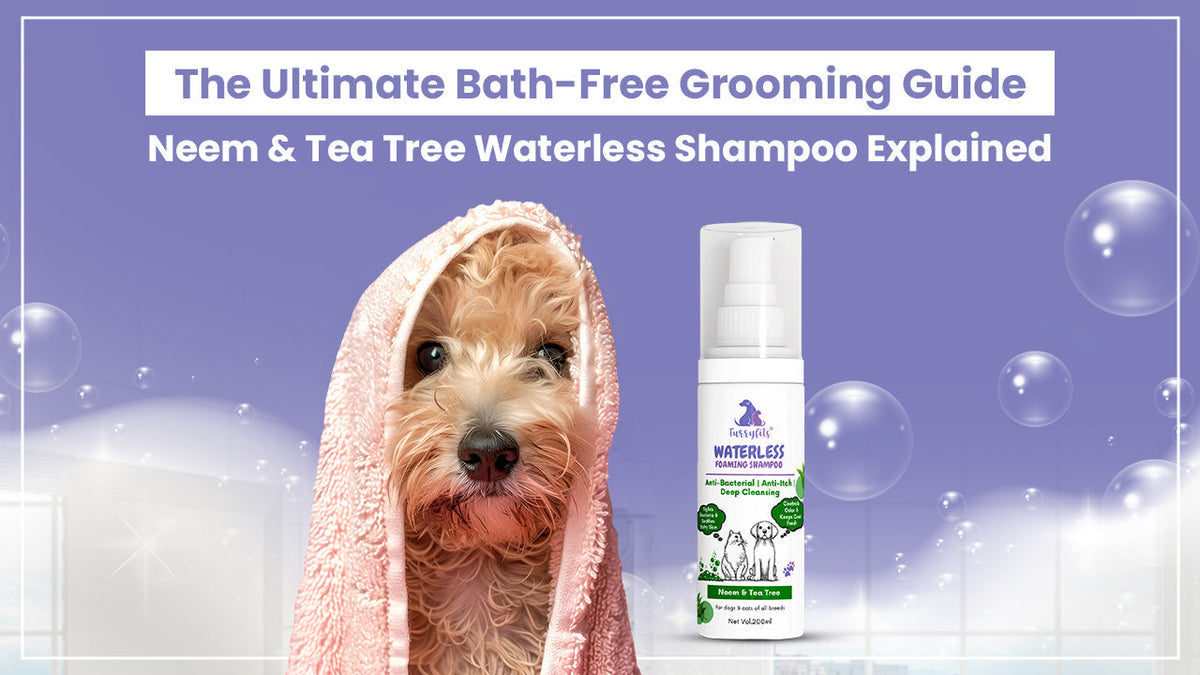 Neem & Tea Tree Waterless Shampoo