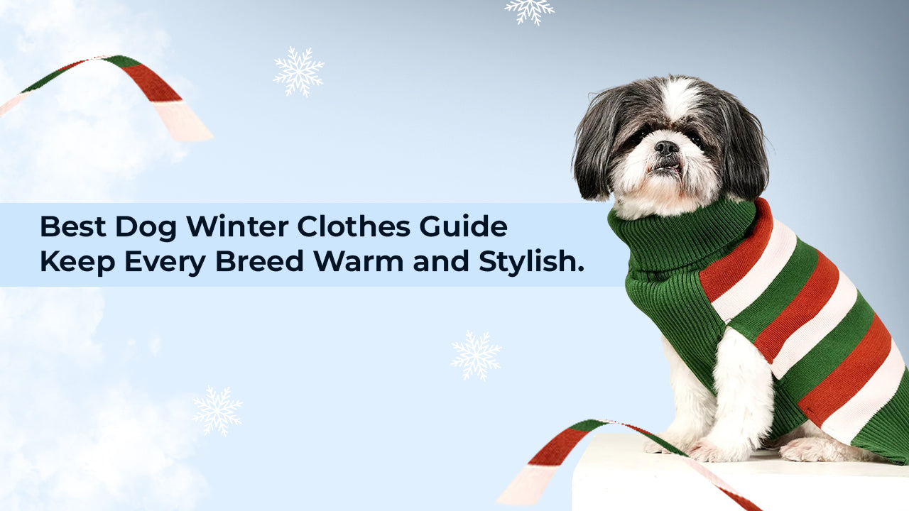 Dog Winter Clothes