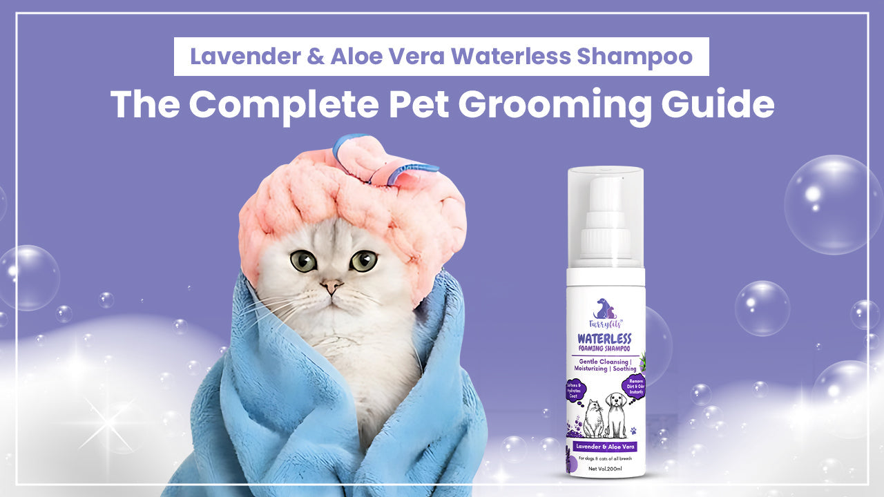 Lavender & Aloe Vera Waterless Shampoo