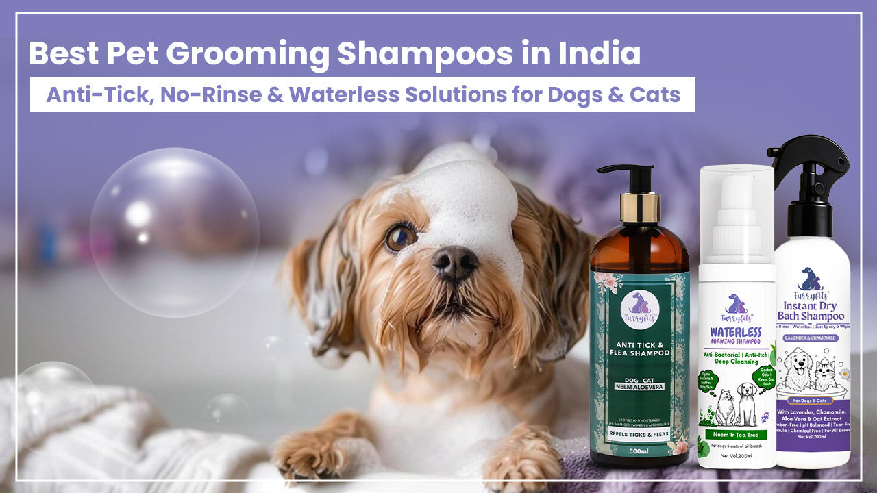 Best Pet Grooming Shampoos in India: Anti-Tick, No-Rinse & Natural Solutions for Dogs & Cats