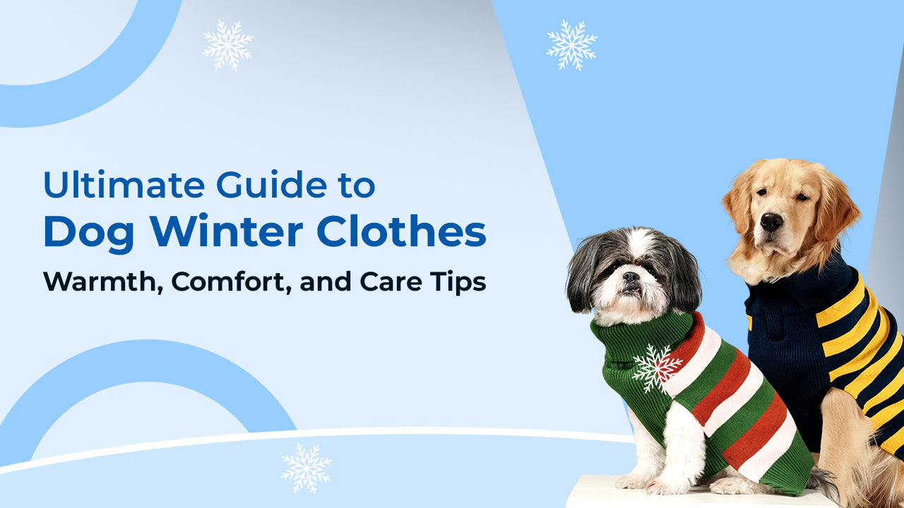 dog winter clothes