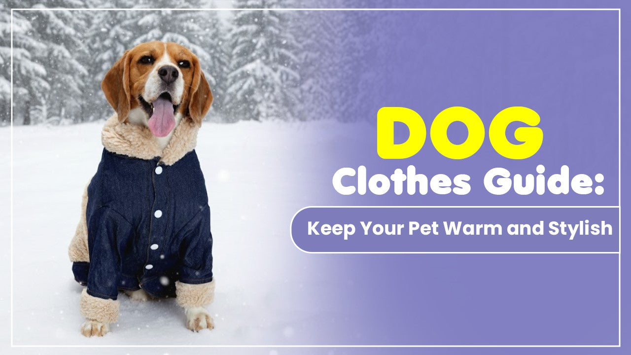Dog Clothes