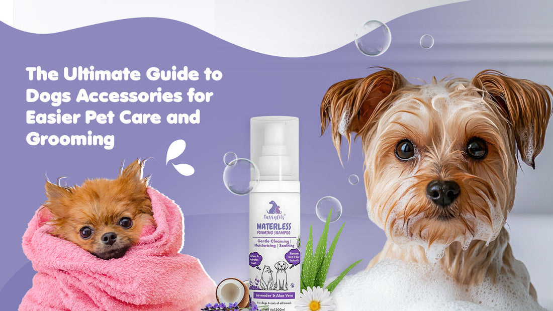  Dogs Accessories