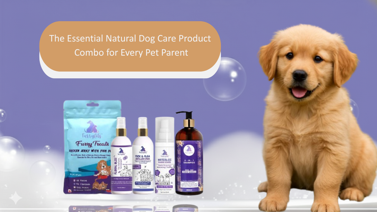 The Essential Natural Dog Care Product Combo for Every Pet Parent