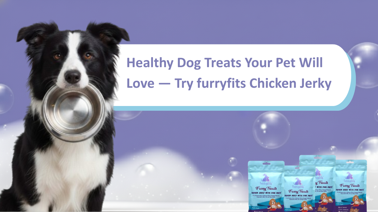 Healthy Dog Treats Your Pet Will Love — Try FurryFits Chicken Jerky