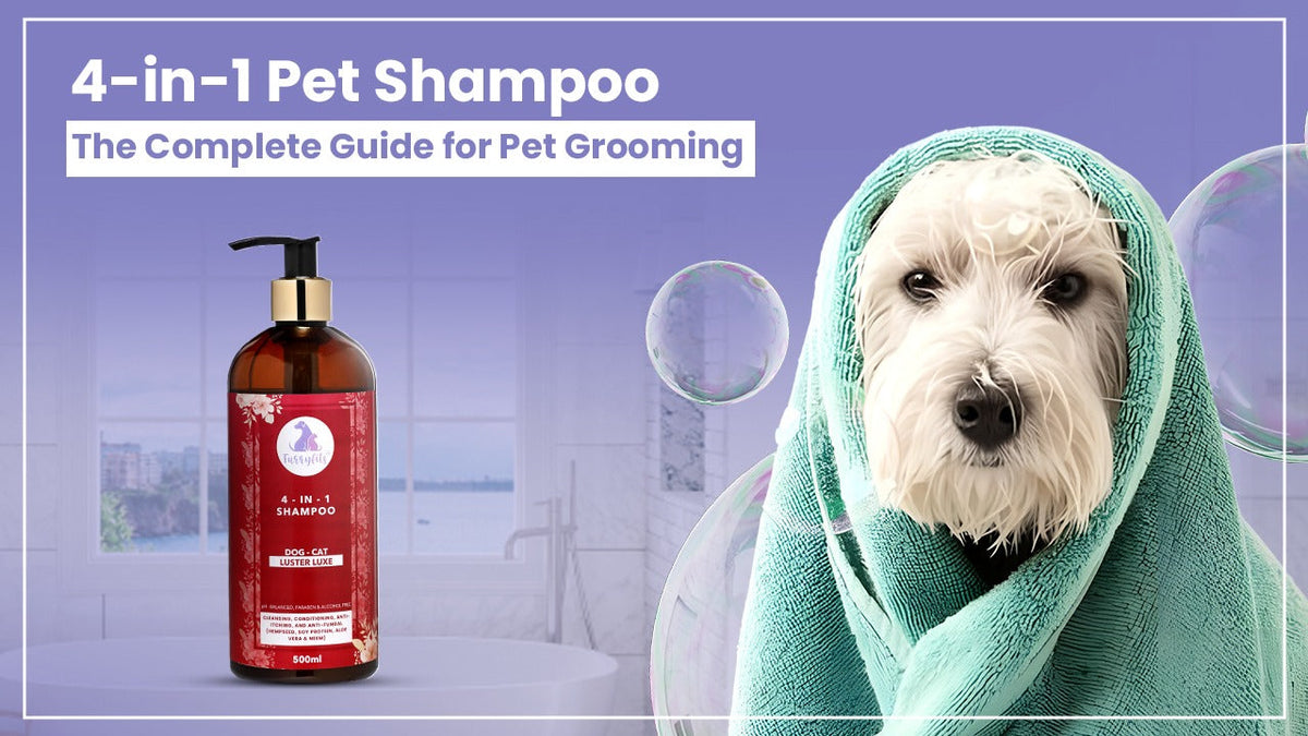 4-in-1 Pet Shampoo: The Complete Guide for Pet Grooming