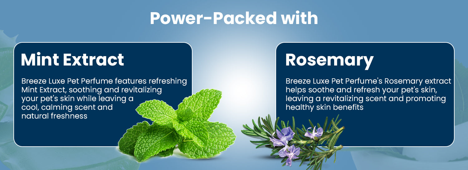Rosemary Extract