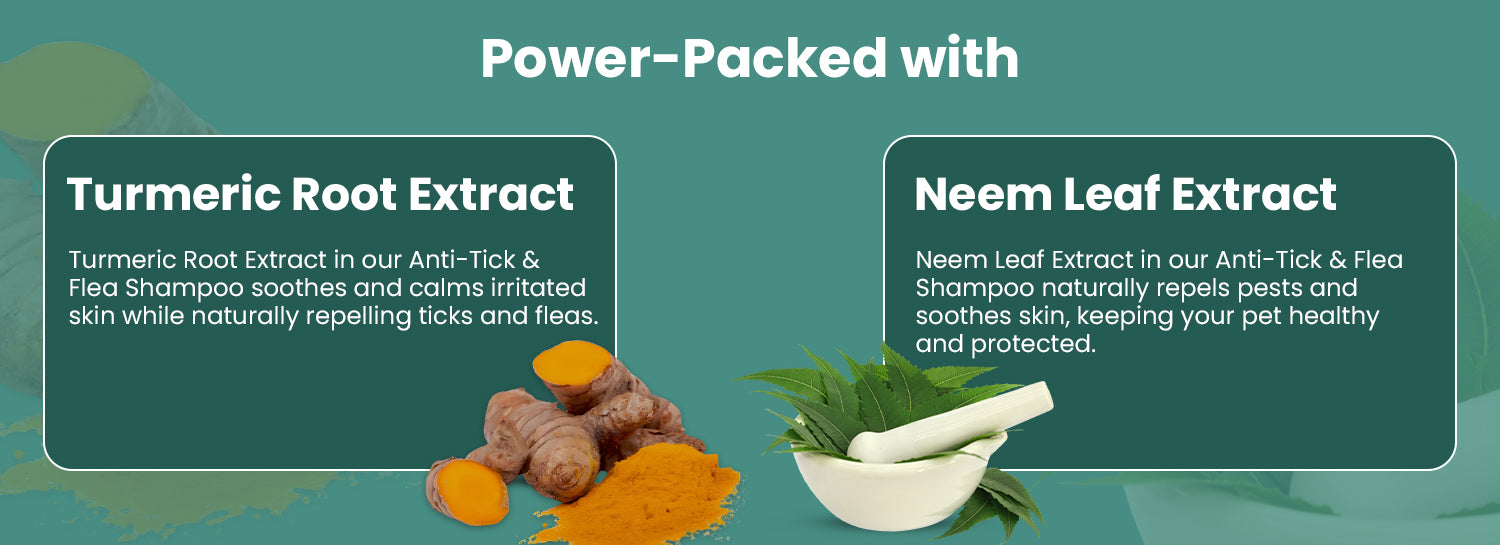 Neem Leaf Extract