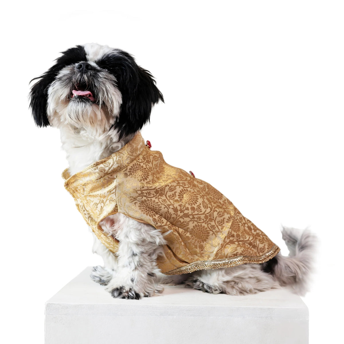 Royal Rajwada Dog Kurta- Brocade Wedding & Festive Ethnic Wear