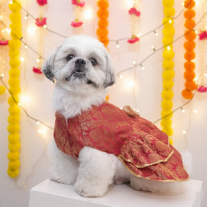 Dress your furry princess in royal elegance with the Maharani Pet Lehenga. Designed in stunning red ...