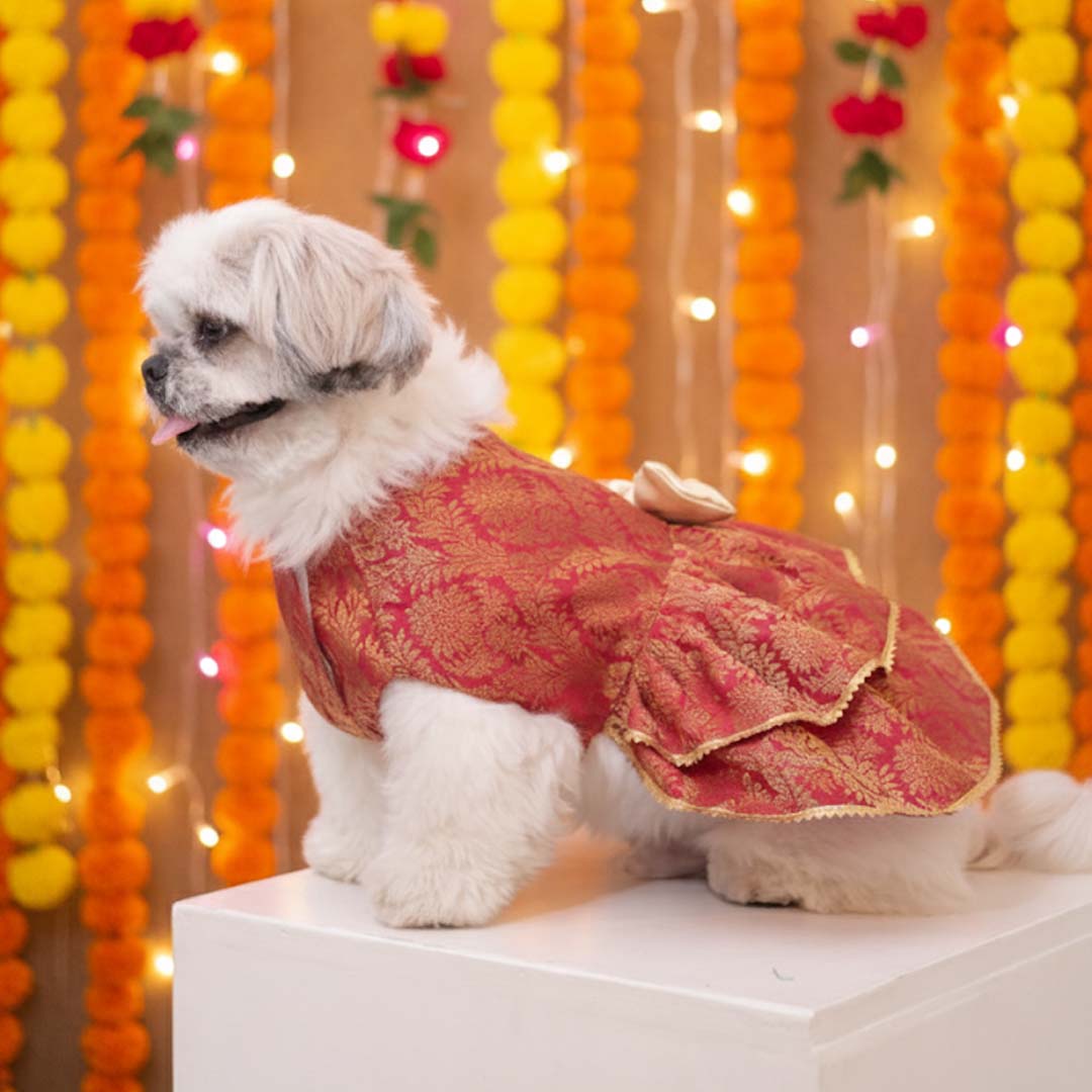 Maharani Pet Lehenga