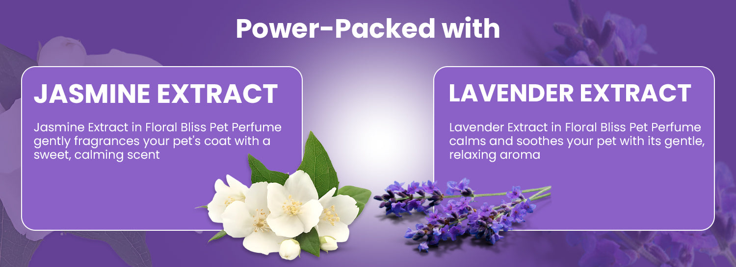 Lavender Extract