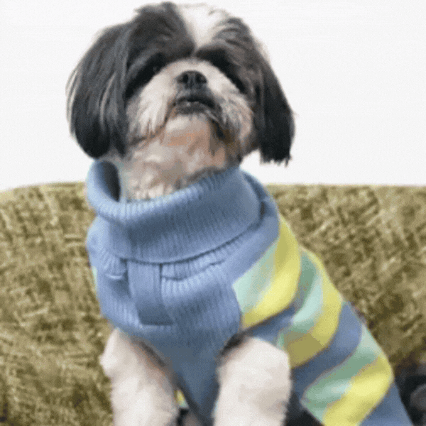 Morning Glow Knit Sweater – Warm Winter Pet Sweater